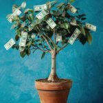 Grow Your Own Money Tree