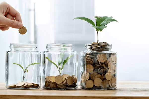 Grow Your Wealth Efficiently